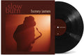 Boney James: Slow Burn ( Vinyl )