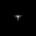Karen O: Lux Prima ( Vinyl )