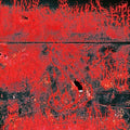 Concrete Winds: Concrete Winds ( Vinyl )