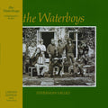 The Waterboys: Fisherman's Blues - Yellow ( Vinyl )