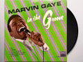 Marvin Gaye: In The Groove ( Vinyl )