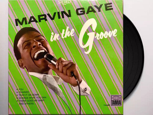 Marvin Gaye: In The Groove ( Vinyl )