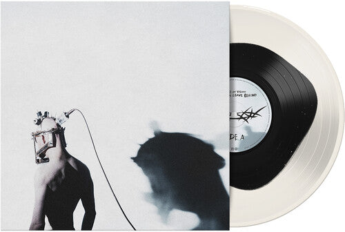 Void Of Vision: What I'll Leave Behind ( Vinyl )