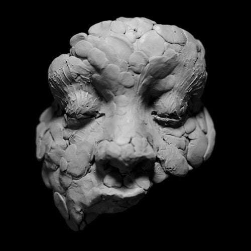 Joy Oladokun: Observations From A Crowded Room ( Vinyl )