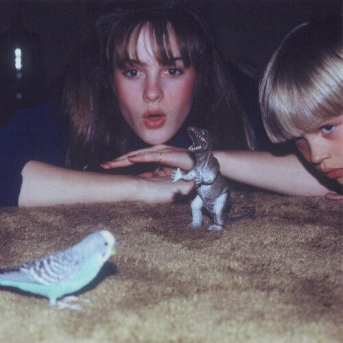 Big Thief: Masterpiece ( Vinyl )