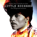 Little Richard: Settin' The Woods On Fire ( Vinyl )