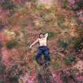 Maverick Sabre: Burn The Right Things Down ( Vinyl )