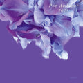 Various Artists: Pop Ambient 2025 ( Vinyl )
