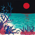 Glass Beach: The First Glass Beach Album - Silver ( Vinyl )