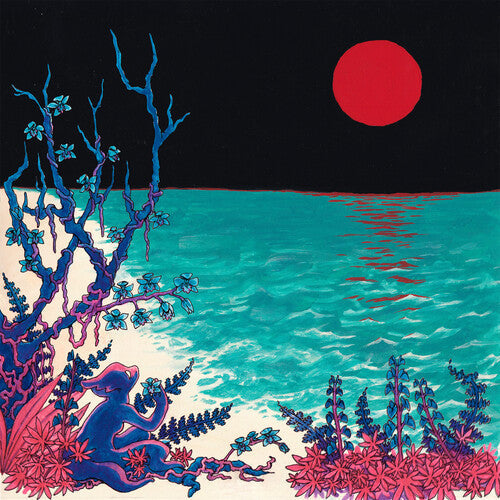 Glass Beach: The First Glass Beach Album - Silver ( Vinyl )