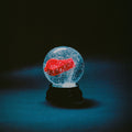 Darkside: Nothing ( Vinyl )
