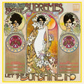Diana Ross & the Supremes: Let The Sunshine In ( Vinyl )