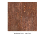 Sandwell District: End Beginnings - Transparent Blue ( Vinyl )