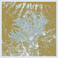 Huerco S: For Those Of You Who Have Never (And Also Those Who Have) ( Vinyl )