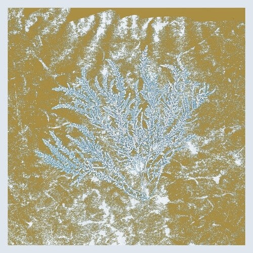 Huerco S: For Those Of You Who Have Never (And Also Those Who Have) ( Vinyl )