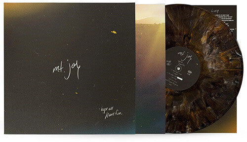 Mt. Joy: Hope We Have Fun ( Vinyl )