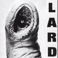 Lard: Power Of Lard - White ( Vinyl )