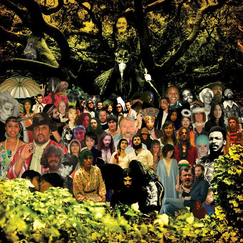 Devendra Banhart: Cripple Crow (20th Anniversary Deluxe) - Black/Green ( Vinyl )