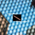 David Gray: White Ladder ( Vinyl )