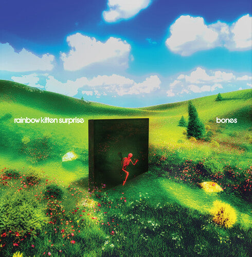 Rainbow Kitten Surprise: bones     (Black Vinyl) ( Vinyl )