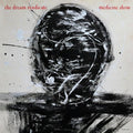 The Dream Syndicate: Medicine Show ( Vinyl )