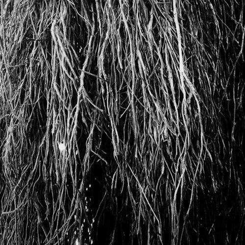 Eraldo Bernocchi: Nocturnal Rainforest ( Vinyl )