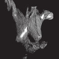 Oceansize: Self Preserved While The Bodies Float Up ( Vinyl )