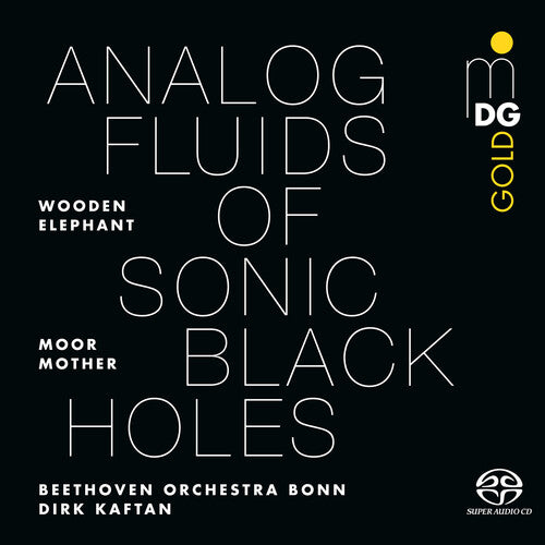 Moor Mother: Analog Fluids of Sonic Black Holes ( Vinyl )