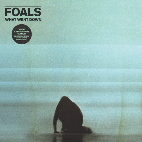 Foals: What Went Down ( Vinyl )