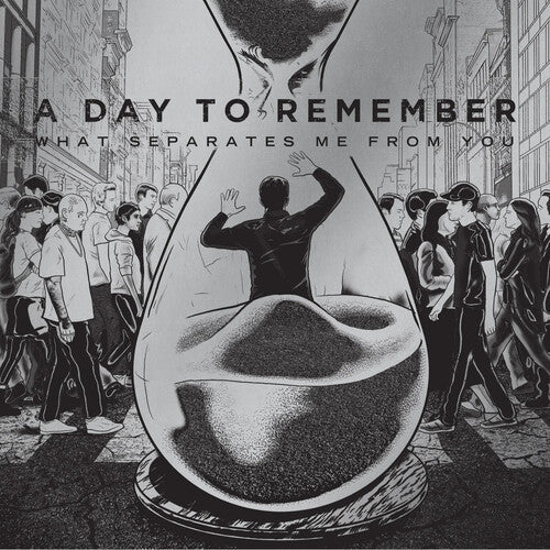Day to Remember: What Separates Me From You ( Vinyl )