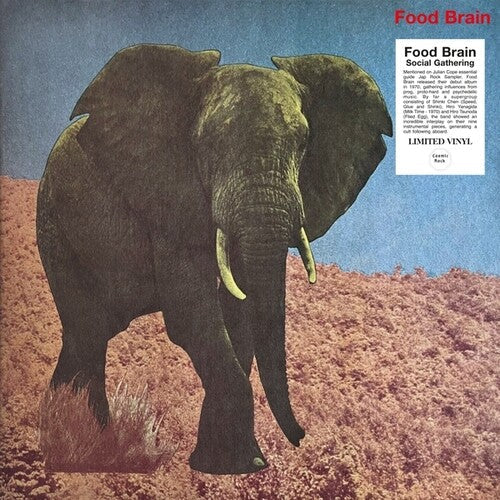 Foodbrain: Social Gathering ( Vinyl )