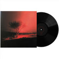 Joji: Piss In The Wind ( Vinyl )