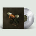St. Paul & the Broken Bones: Young Sick Camellia ( Vinyl )