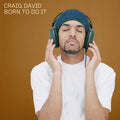 Craig David: Born To Do It ( Vinyl )