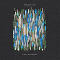 Kerosene Heights: Blame It On The Weather (COKE BOTTLE CLEAR VINYL) ( Vinyl )