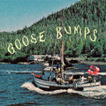 Boyscott: Goose Bumps (BLUE MARBLE VINYL) ( Vinyl )