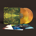 Band of Horses: Everything All the Time (20th Anniversary) ( Vinyl )