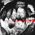 Poison the Well: Peace In Place ( Vinyl )