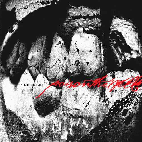 Poison the Well: Peace In Place ( Vinyl )