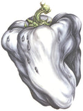 Ween: White Pepper ( Vinyl )
