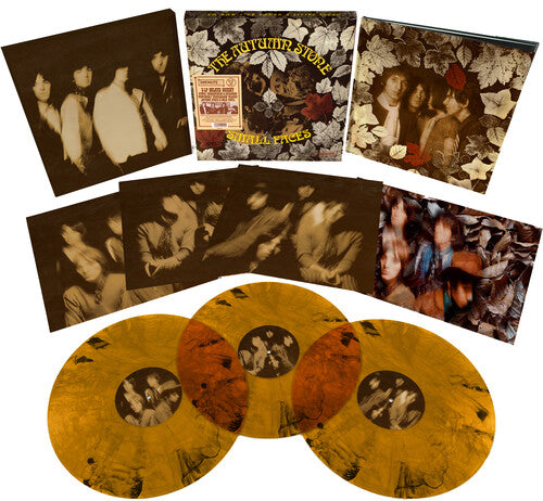 The Small Faces: The Autumn Stone ( Vinyl )