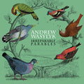 Andrew Wasylyk: Irreparable Parables - Pink Vinyl ( Vinyl )