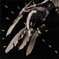 Bad Religion: Generator ( Vinyl )