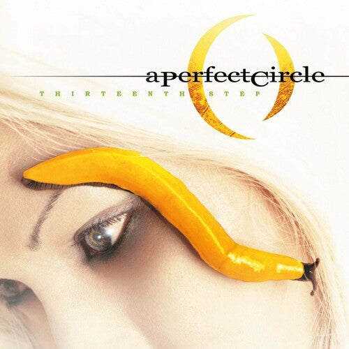 A Perfect Circle: Thirteenth Step ( Vinyl )