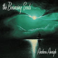 The Bouncing Souls: Anchors Aweigh ( Vinyl )