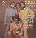 S.O.U.L.: Soul What Is It ( Vinyl )