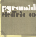 Jason Molina: Pyramid Electric Co ( Vinyl )