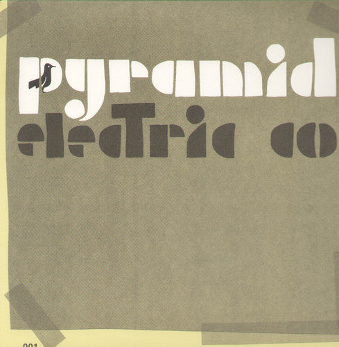 Jason Molina: Pyramid Electric Co ( Vinyl )