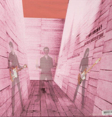 Blonde Redhead: In An Expression of the Inexpressible ( Vinyl )
