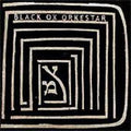 Black OX Orkestar: Ver Tanzt ( Vinyl )